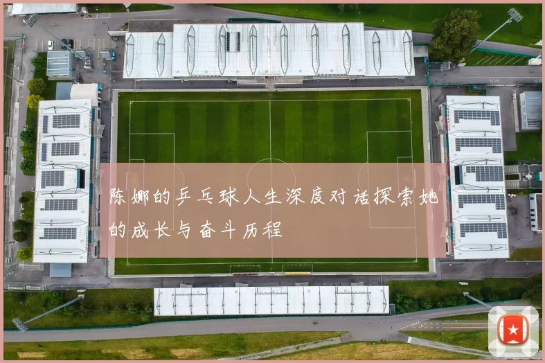 陈娜的乒乓球人生深度对话探索她的成长与奋斗历程