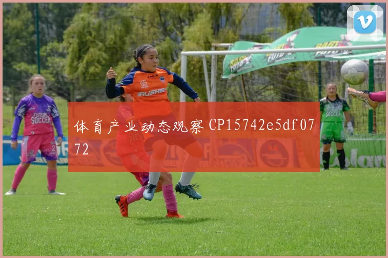 体育产业动态观察 CP15742e5df0772
