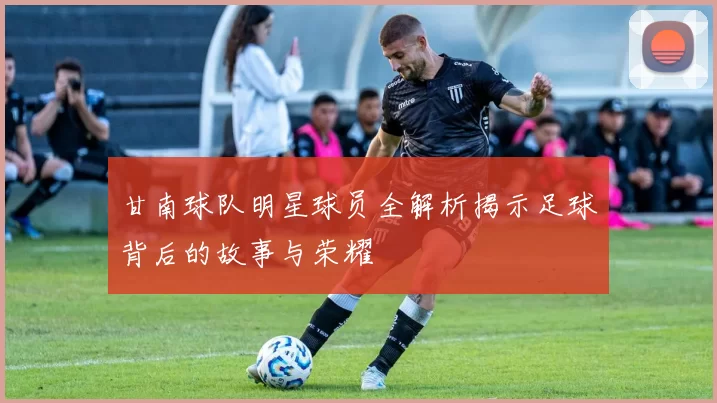 甘南球队明星球员全解析揭示足球背后的故事与荣耀