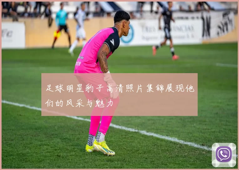 足球明星豹子高清照片集锦展现他们的风采与魅力