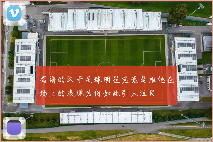 离谱的汉子足球明星究竟是谁他在场上的表现为何如此引人注目