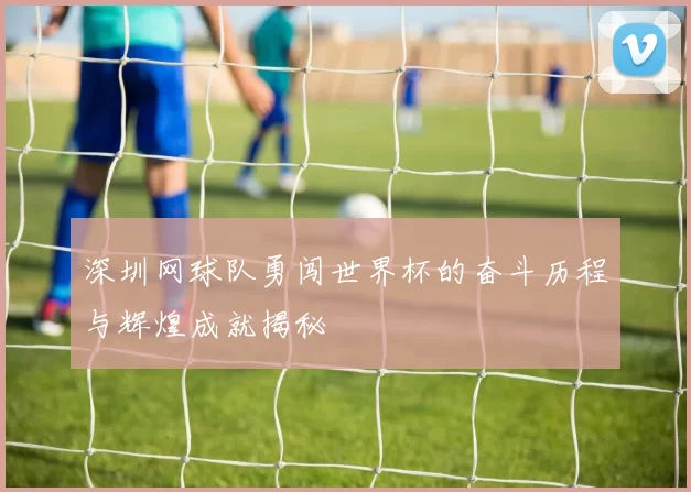 深圳网球队勇闯世界杯的奋斗历程与辉煌成就揭秘