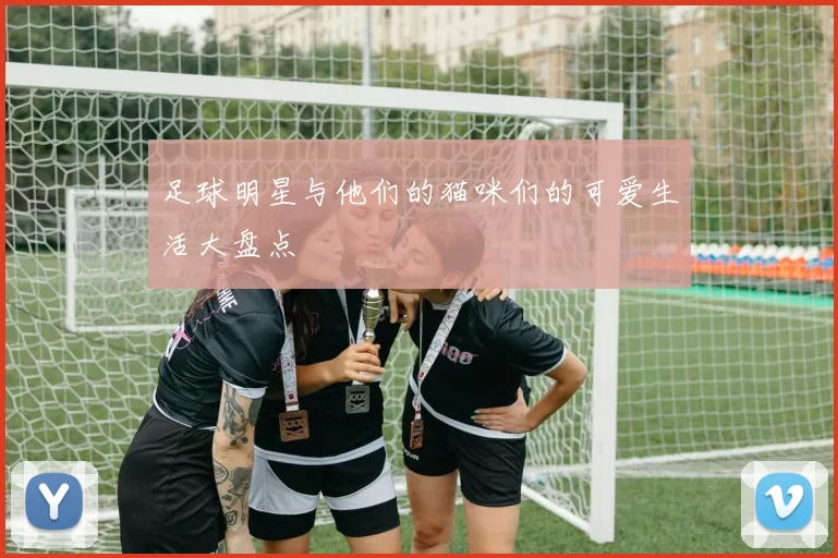 足球明星与他们的猫咪们的可爱生活大盘点