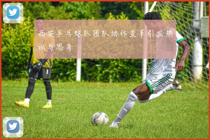 西安乒乓球队团队协作变革引发热议与思考