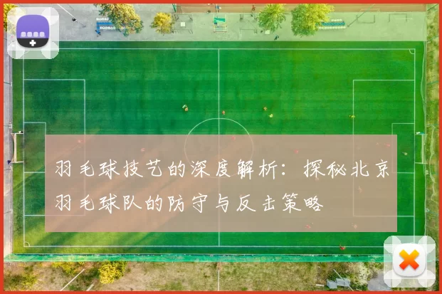 羽毛球技艺的深度解析：探秘北京羽毛球队的防守与反击策略