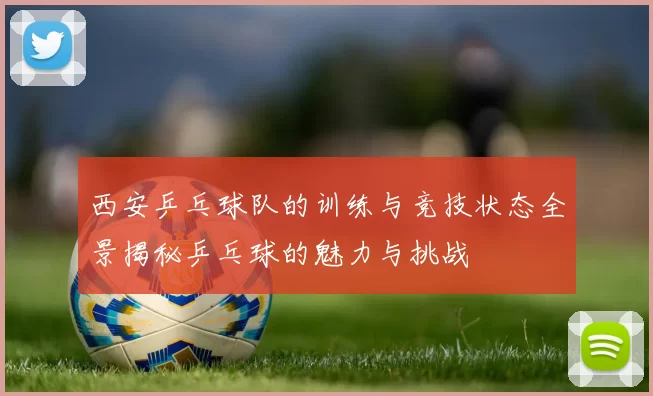西安乒乓球队的训练与竞技状态全景揭秘乒乓球的魅力与挑战