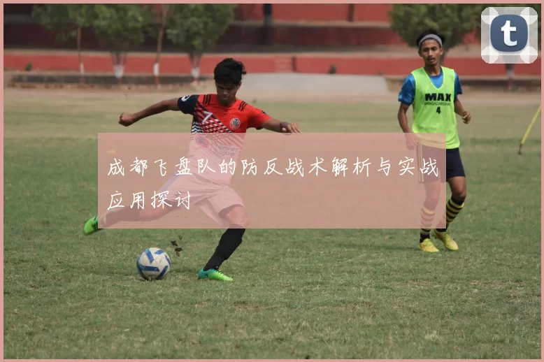 成都飞盘队的防反战术解析与实战应用探讨