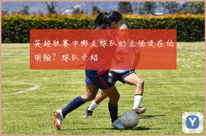 英超联赛中哪支球队的主场设在伯明翰？球队介绍